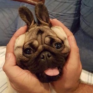 Meet your Posher, Joseph